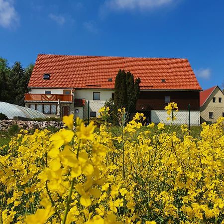 Alte Schaeferei Bad Gottleuba Villa Eksteriør bilde