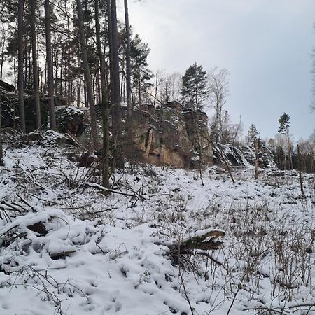 Alte Schaeferei Bad Gottleuba Villa Eksteriør bilde