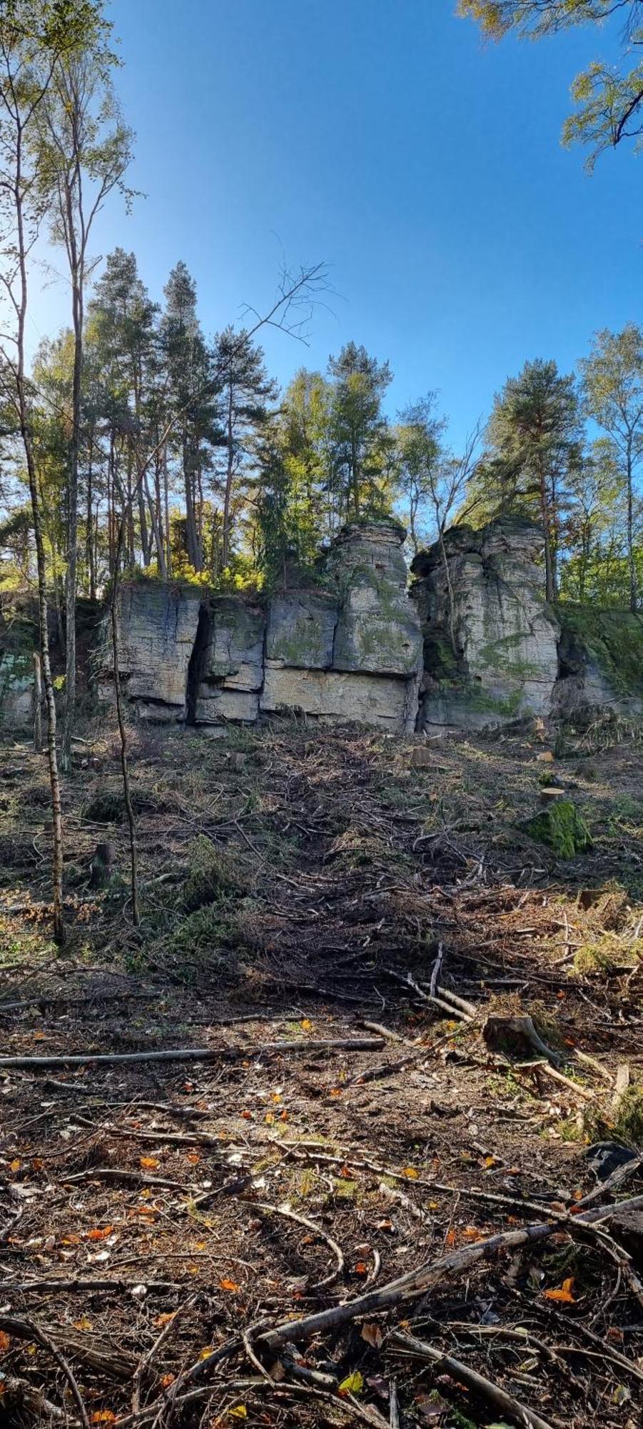 Alte Schaeferei Bad Gottleuba Villa Eksteriør bilde